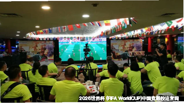 未来愿景与发展方向